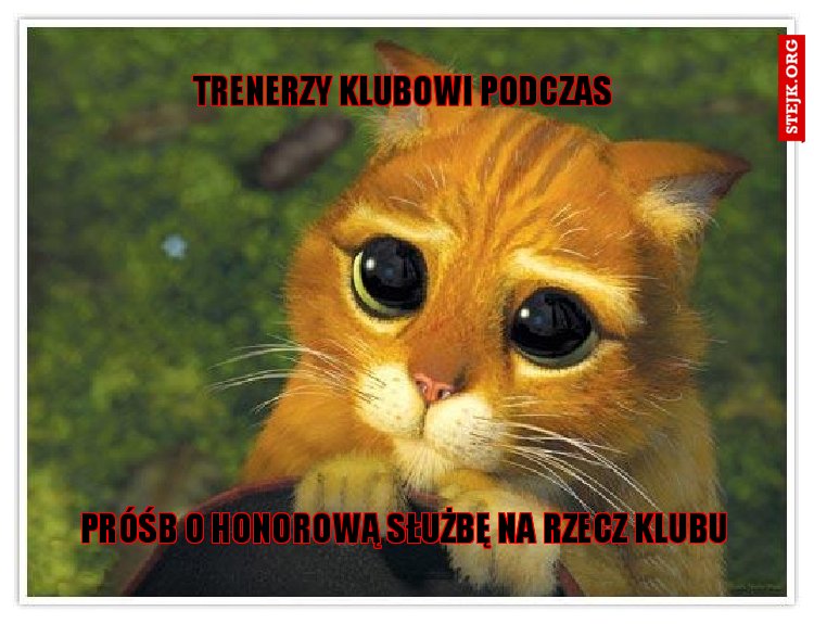 Trenerzy klubowi podczas
