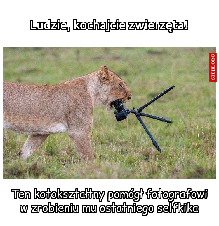 Ludzie, kochajcie zwierzęta!