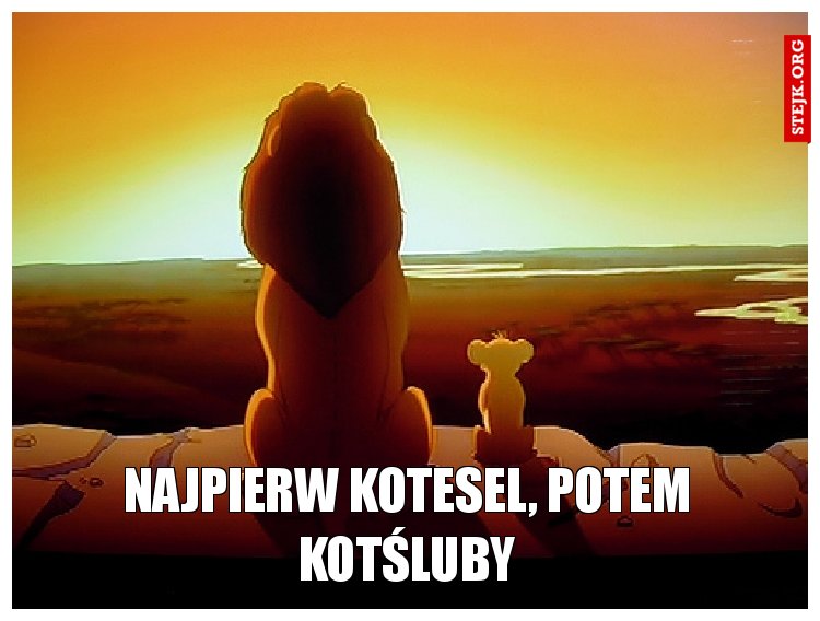 Najpierw kotesel, potem kotśluby