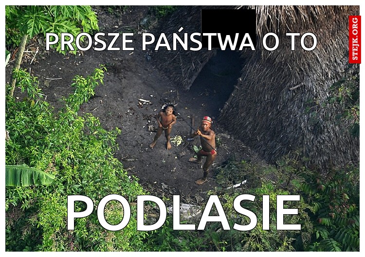 PODLASIE XDD