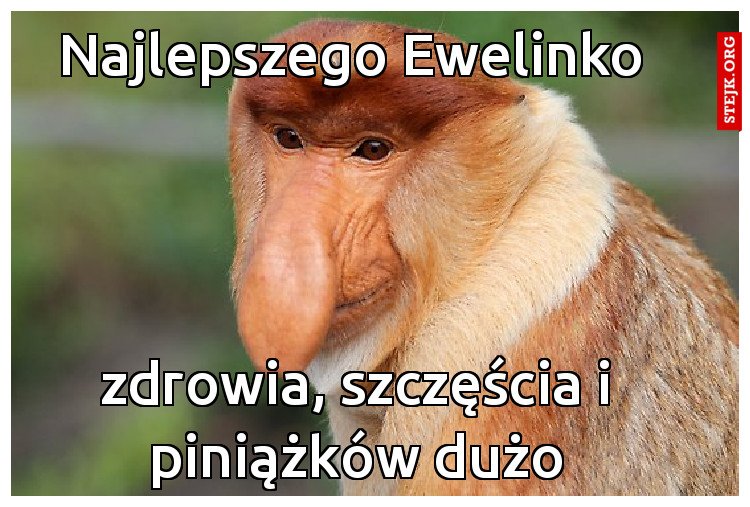 Najlepszego Ewelinko