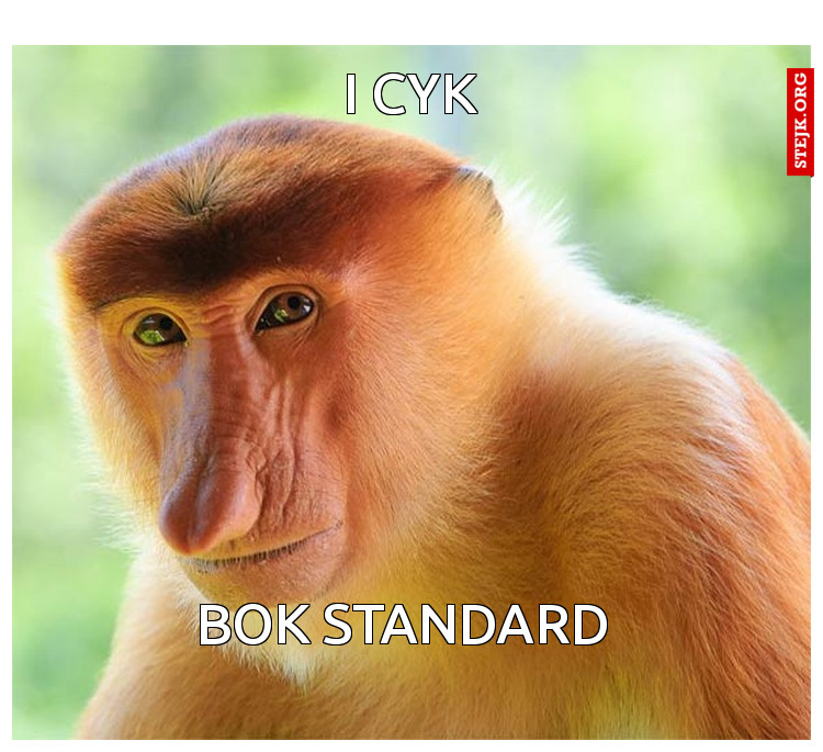 I cyk