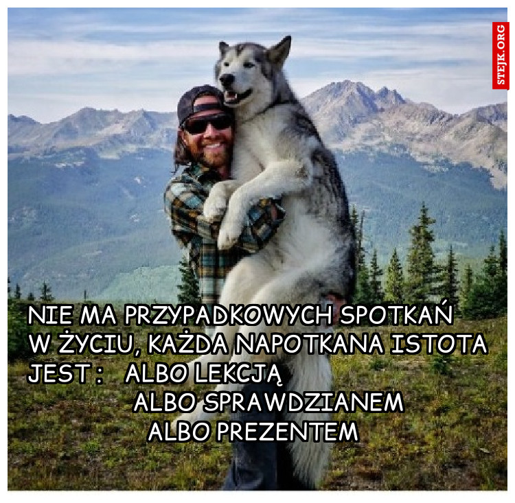 Nie ma przypadkowych spotkań w życiu, Każdy napotkana istota jest :                      Albo lekcją                                                             Albo sprawdzianem                                            Albo prezentem