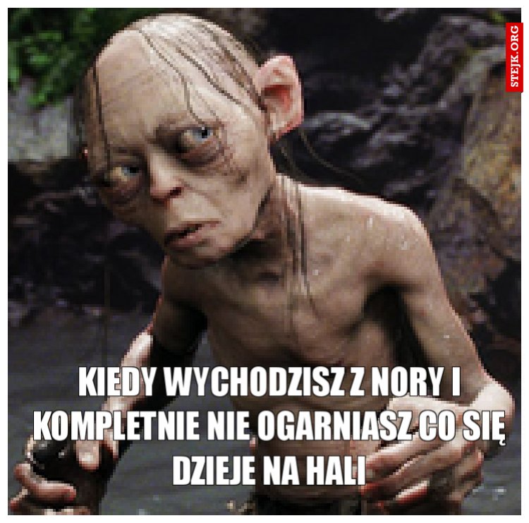 Kiedy wychodzisz z nory i kompletnie nie ogarniasz co się dzieje na hali