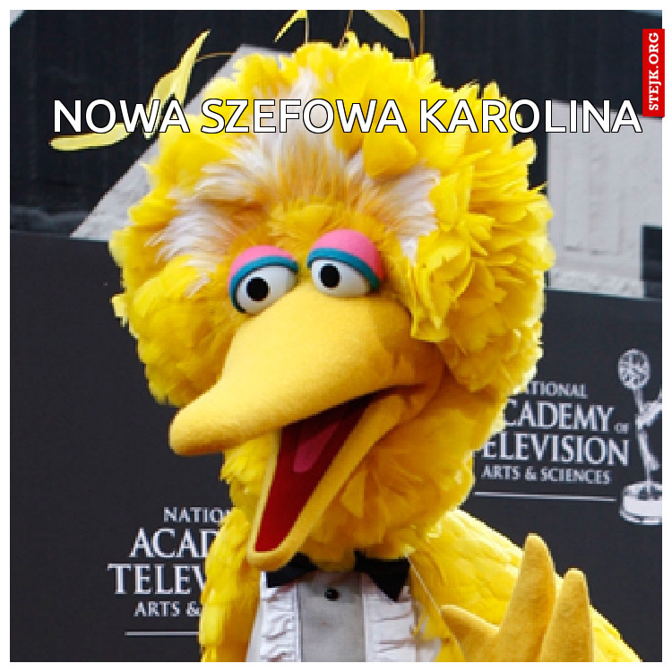 Karolina - ASM 01 