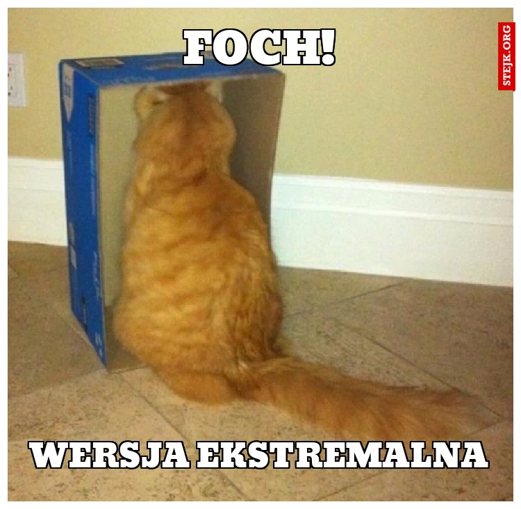 Foch!