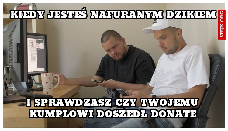 Kiedy jesteś nafuranym dzikiem