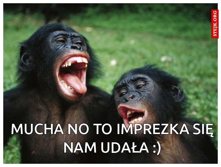 Mucha no to imprezka się nam udała  :) 