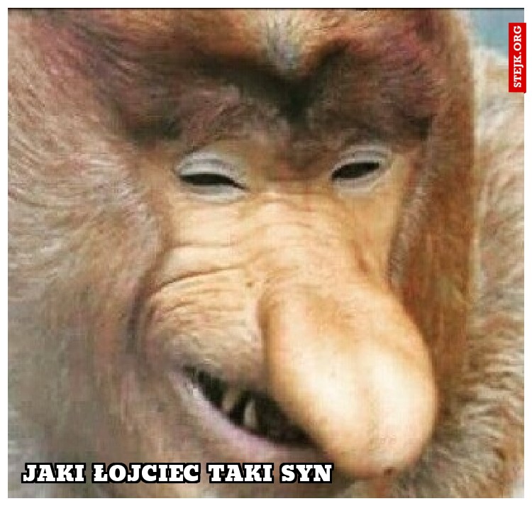 Jaki łojciec taki syn
