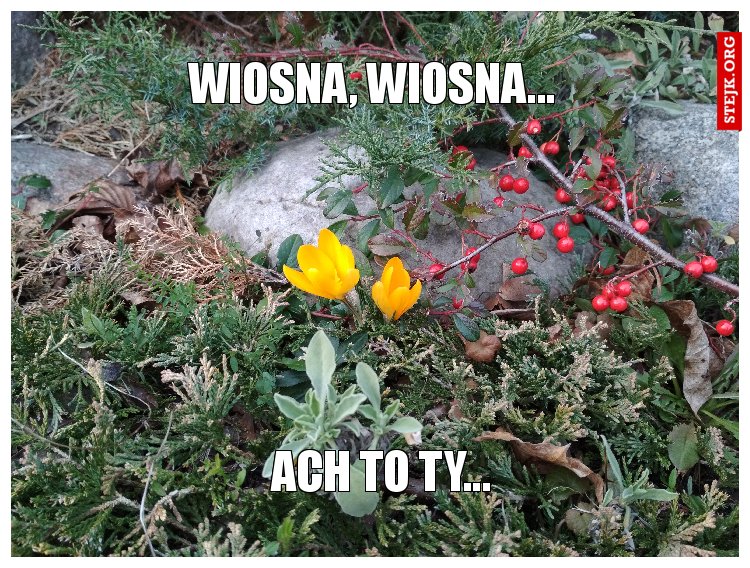 Wiosna, wiosna...
