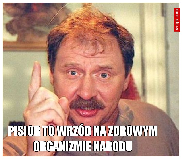 Pisior to wrzód na zdrowym organizmie narodu