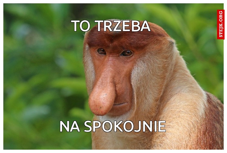 To trzeba 