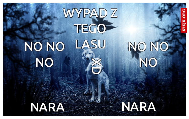 wYPAD Z TEGO LASU