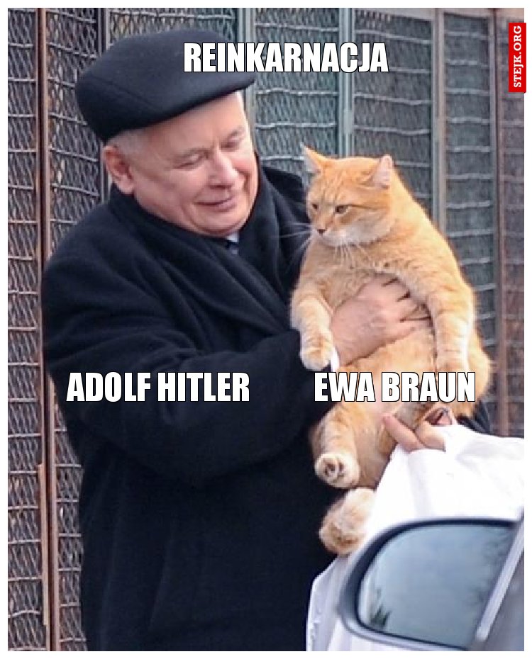 Reinkarnacja
