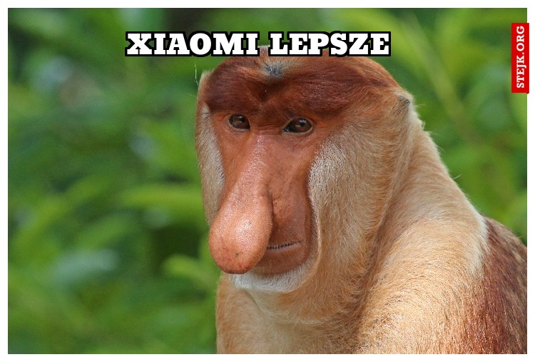 XIAOMI LEPSZE