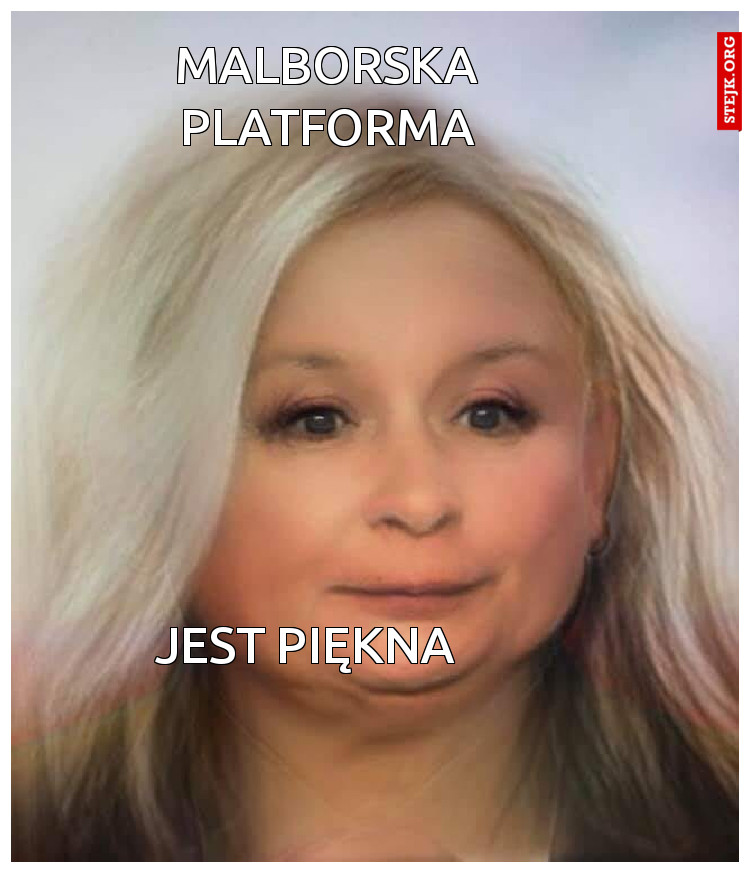 Malborska platforma