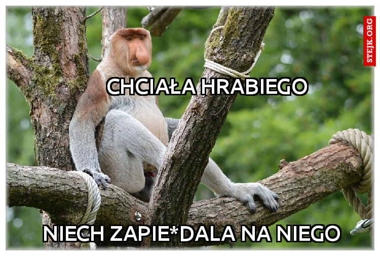 Chciała hrabiego 