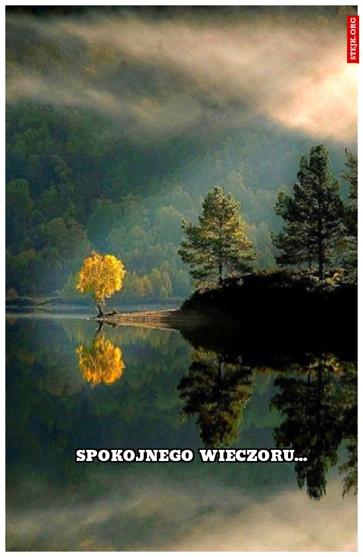 spokojnego wieczoru...