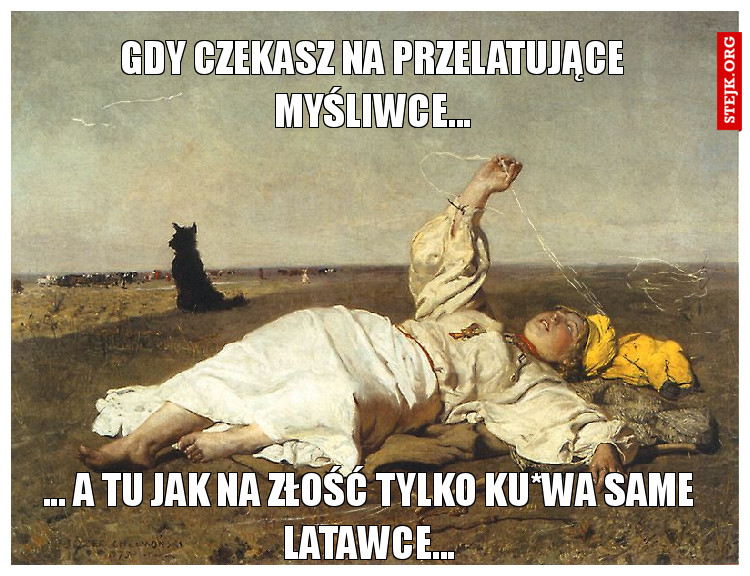 gdy czekasz na przelatujące myśliwce...