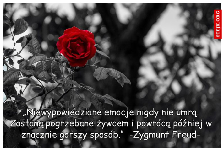 „Niewypowiedziane emocje nigdy nie umrą. Zostaną pogrzebane żywcem i powrócą później w znacznie gorszy sposób.”  -Zygmunt Freud-