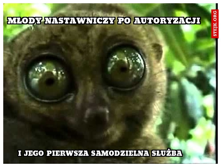 i to jest koniec obijania 