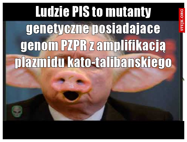 Ludzie PIS posiadają to mutanty genetyczne posiadajace genom PZPR z amplifikacją plazmidu kato-talibanskiego.  Skutek MRNA zawartego w koszrnej wołowinie. .Większość genomów organizmów eukariotycznych PIS  składa się w przeważającej części z niekodujących sekwencji DNA aktywisty PZPR polaczonej syntezą z białkiem fukjconariusza kato-talibanu