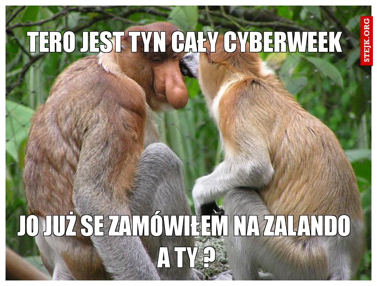 TERO JEST TYN CAŁY CYBERWEEK 
