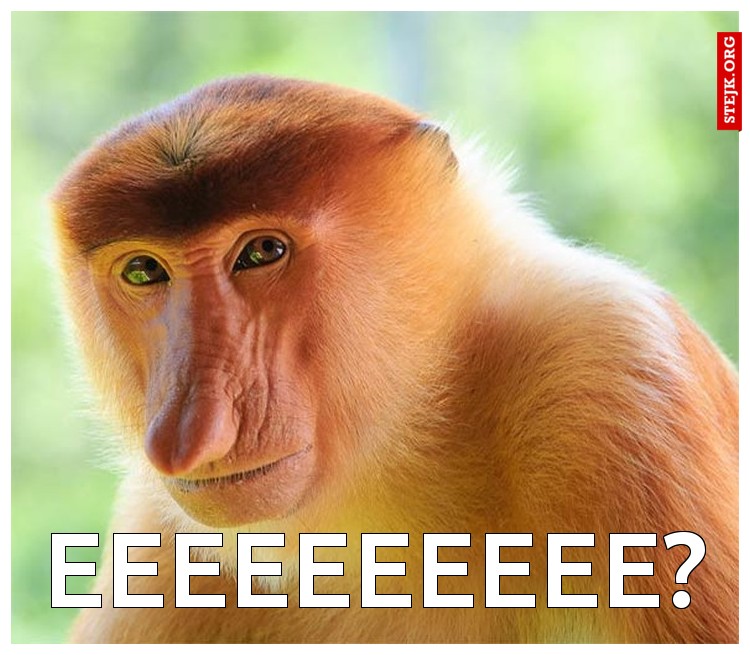 EEeeeeeeee?