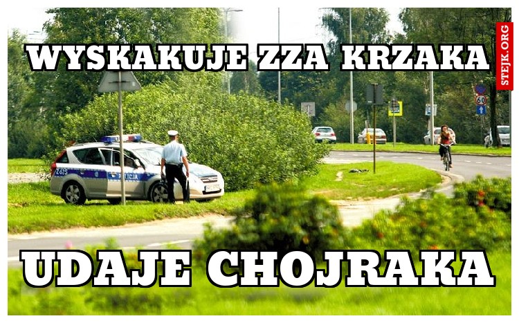 wyskakuje zza krzaka