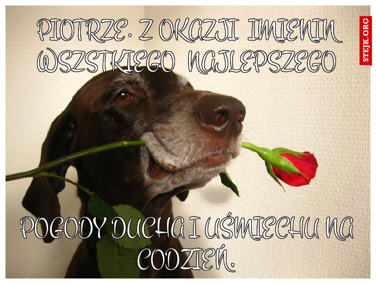 Piotrze. z okazji  imienin wszstkiego  najlepszego