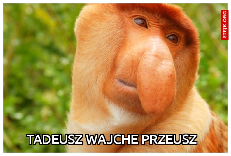 Tadeusz wajche przeusz 