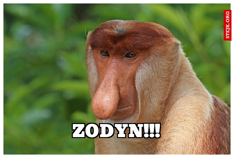 ZODYN!!!