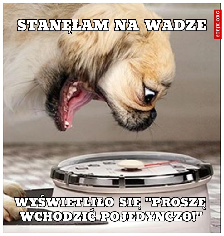 Stanęłam na wadze