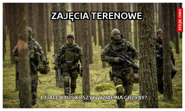 czy to dobry pomysł ? 