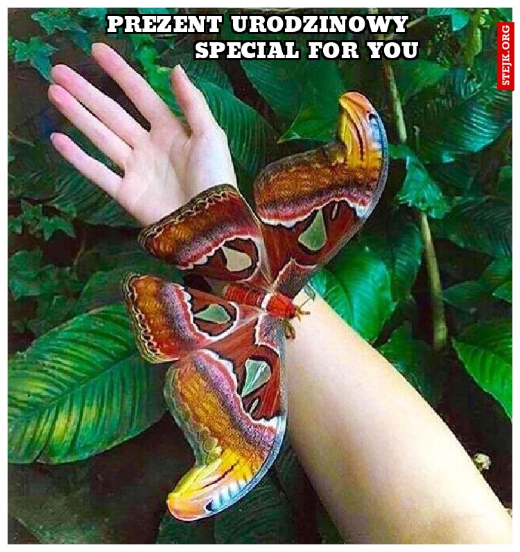 prezent urodzinowy            special for you