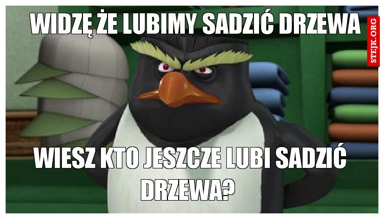 Widzę że lubimy sadzić drzewa