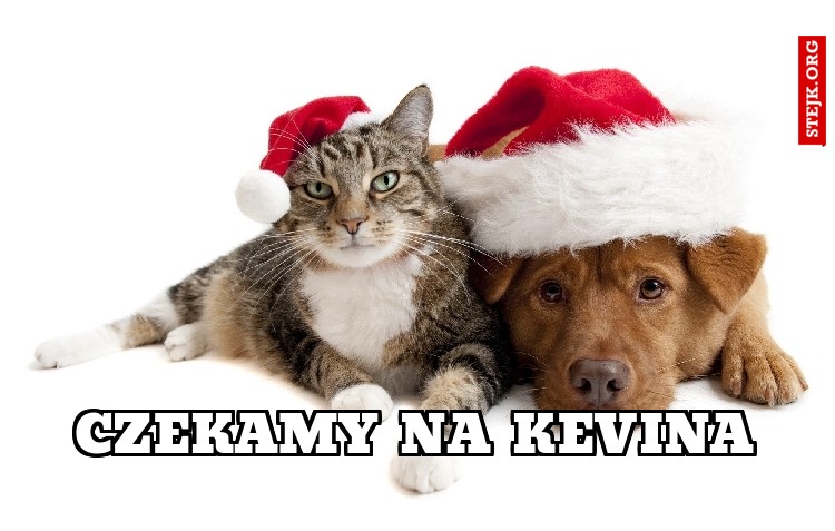 CZEKAMY NA KEVINA