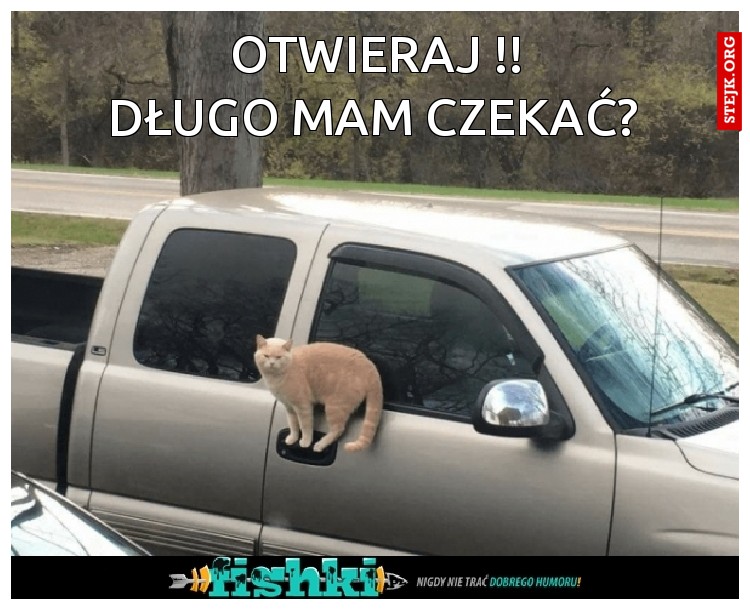                   Otwieraj !!                  Długo mam czekać?