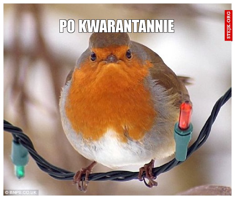 po kwarantannie