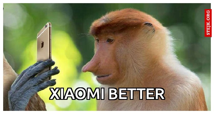 Xiaomi better
