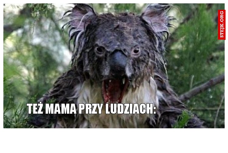 Też mama przy ludziach: