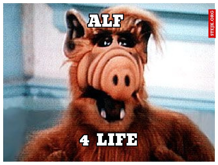 ALF 