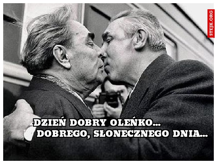 dzień dobry oleńko...                       Dobrego, słonecznego dnia...           