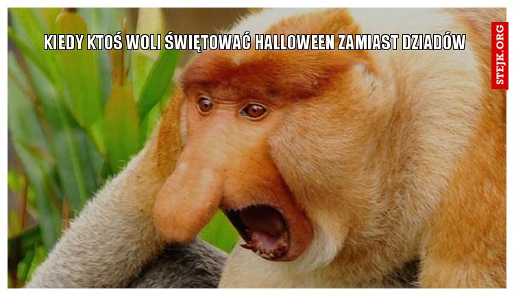 kiedy ktoś woli świętować halloween zamiast dziadów
