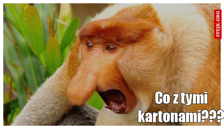 Co z tymi kartonami???