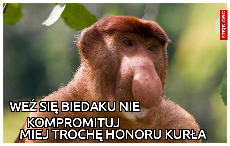 Weź się biedaku nie kompromituj 