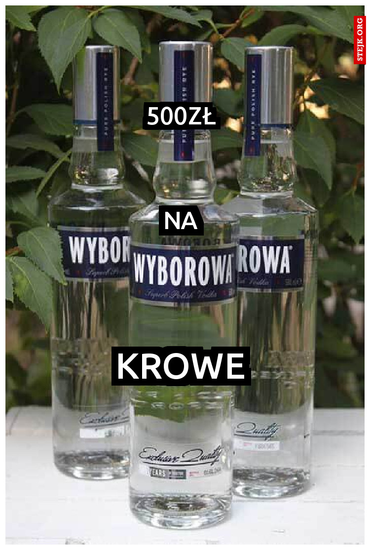 500Zł