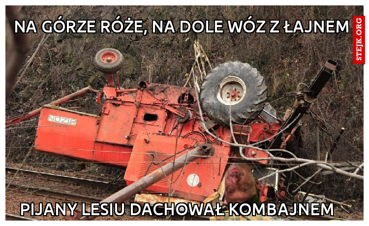 Na górze róże, na dole wóz z łajnem