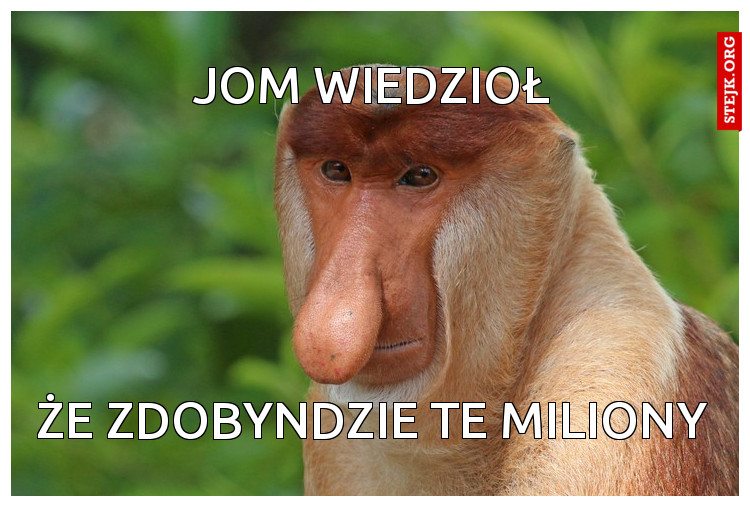 JOM WIEDZIOŁ
