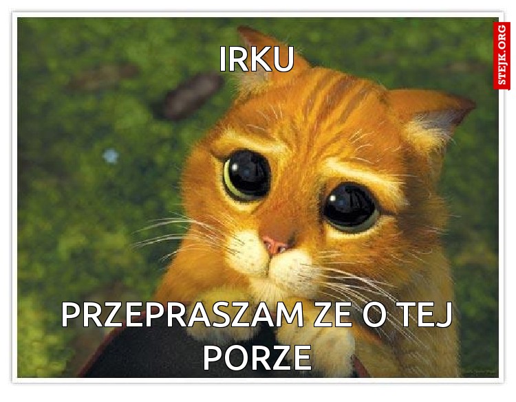 PRZEPRASZAM ZE O TEJ PORZE